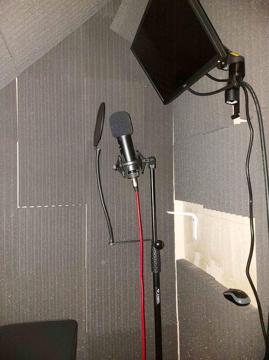 Mic Setup